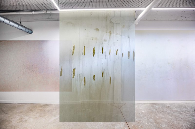 20250101 250819 ejected bodies 4_GTZ5349